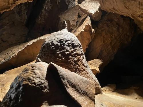 imgi 328 518538445 1214947503764328 420557305273241464 n