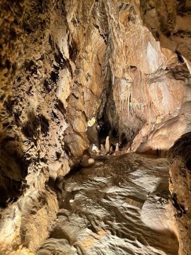 imgi 331 521326023 1214947843764294 6590283925131504040 n