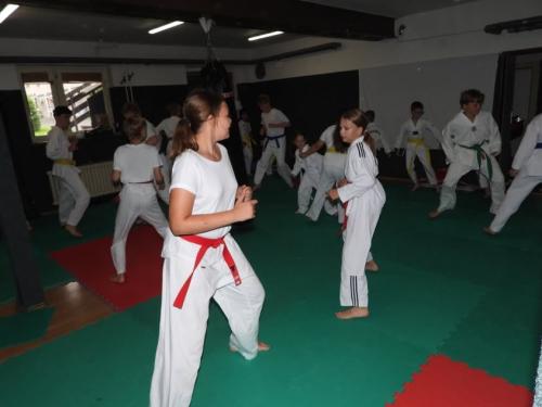 imgi 347 528179287 1229532258972519 286411539066776667 n