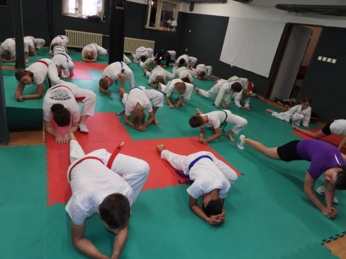 imgi 358 528093779 1229532822305796 1770034889012651602 n