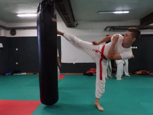 imgi 367 527677964 1229533152305763 1073639238910167362 n