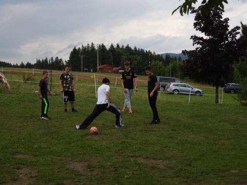 imgi 37 519419362 1211936727398739 7165352246762963649 n