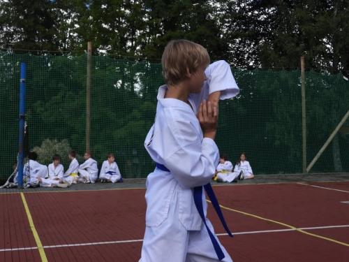 imgi 443 528179277 1229536228972122 7040284808023627206 n