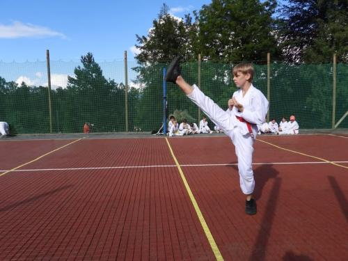 imgi 466 528468794 1229537252305353 1381855926427063892 n