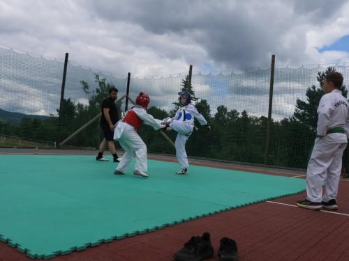 imgi 494 528028484 1229538335638578 2117902042891089207 n