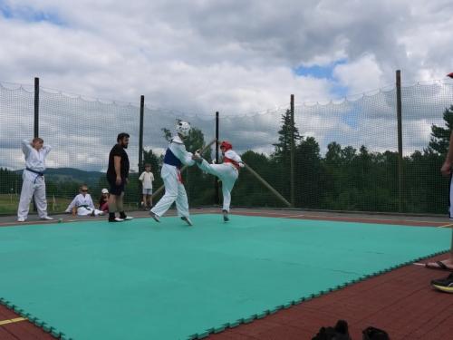 imgi 504 527783627 1229538778971867 6310061077719505944 n