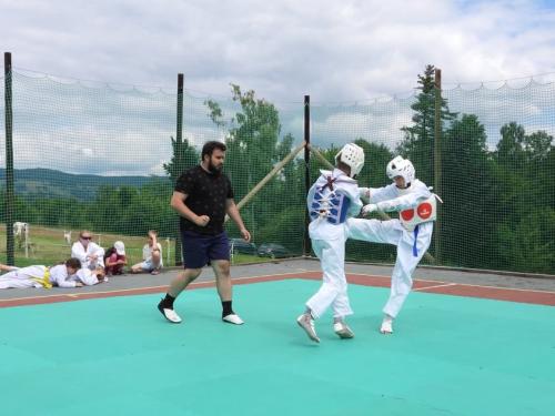 imgi 516 528386353 1229539252305153 1069348130816510648 n