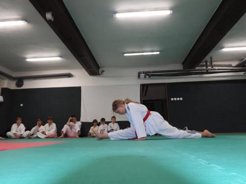 imgi 586 527964365 1229542035638208 3105151905480251588 n