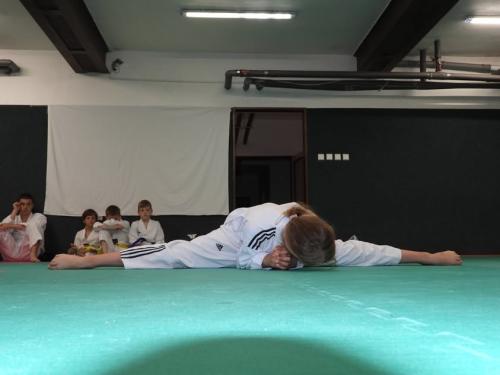 imgi 588 529170931 1229542145638197 8388323526945866266 n