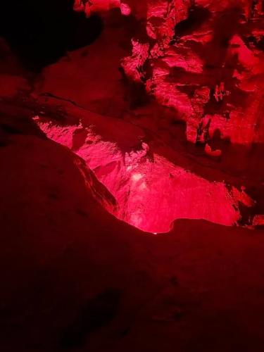 imgi 661 528116346 1229545005637911 2116405785864853520 n