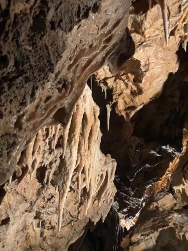 imgi 675 528346753 1229545562304522 4305150440554433211 n