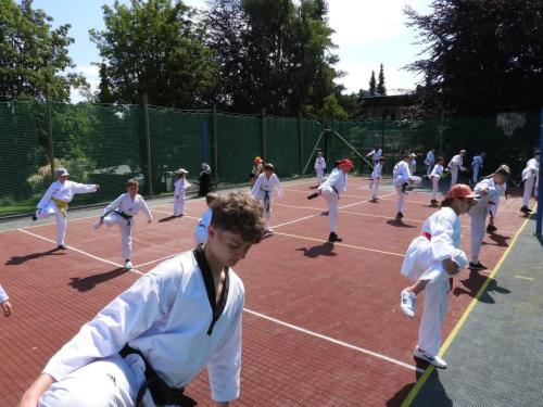 imgi 80 518282207 1212754267316985 1387721028045792704 n